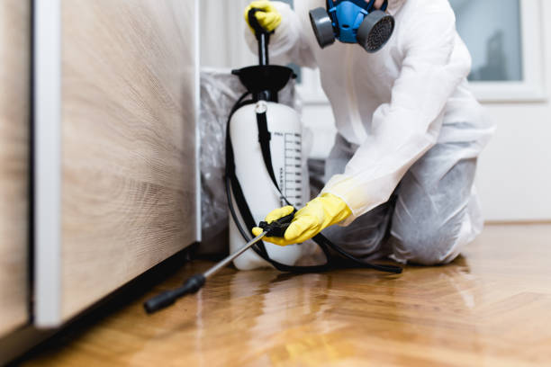 Best Commercial Pest Control Services  in Jasper, AL