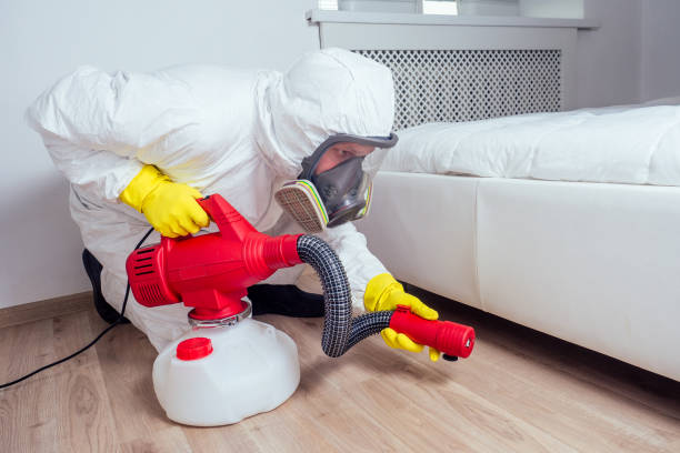 Trusted Jasper, AL Pest Control Experts