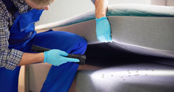Best Emergency Pest Control  in Jasper, AL