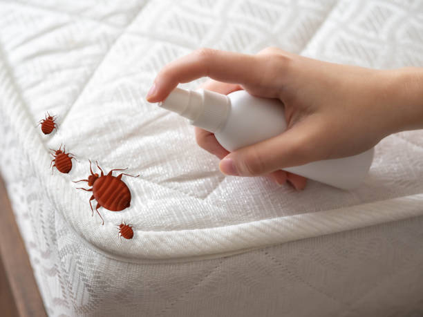 Pest Prevention Services in Jasper, AL
