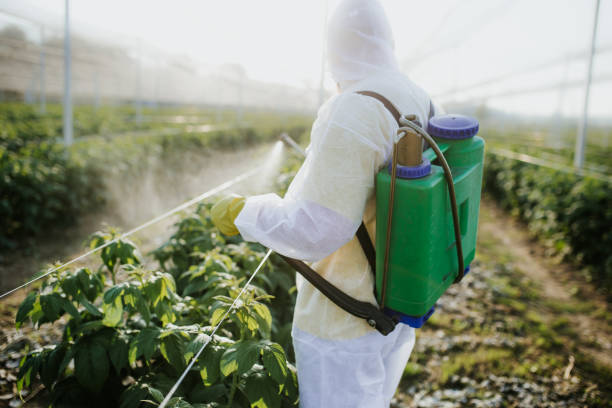 Best Best Pest Control Companies  in Jasper, AL